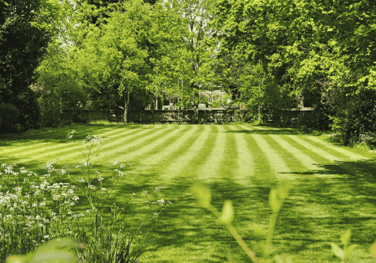 Summer Lawn Care Tips for Massachusetts Homeowners